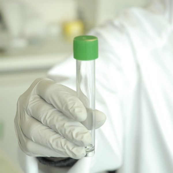 dna extraction, tuba, experimentation, dna extraction, dna extraction, dna extraction, dna extraction, dna extraction, experimentation
